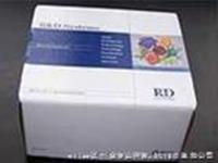 小鼠白介素5 IL-5ELISA试剂盒
