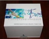 小鼠睾酮 ELISA试剂盒