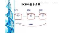 RT-PCR试剂盒