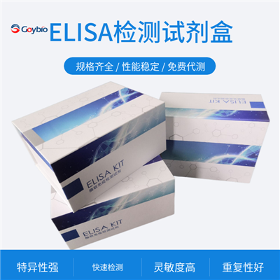 人CC趋化因子受体1(CCR1)ELISA试剂盒