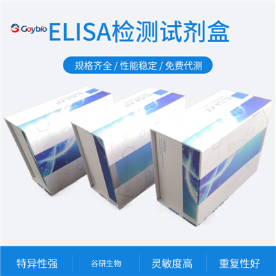 人白介素17(IL-17)ELISA试剂盒