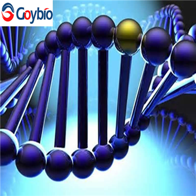 DNA甲基转移酶3B(DNMT3B)真核蛋白(Human，人)