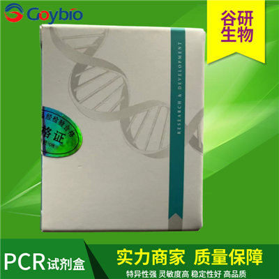 牛呼吸道合胞体病毒探针法荧光定量 RT-PCR 试剂盒