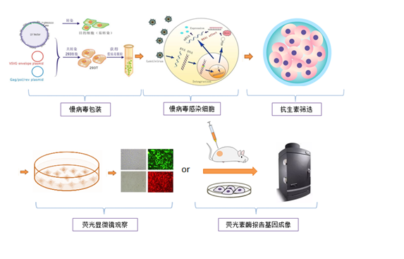 QQ截图20221118141208.png