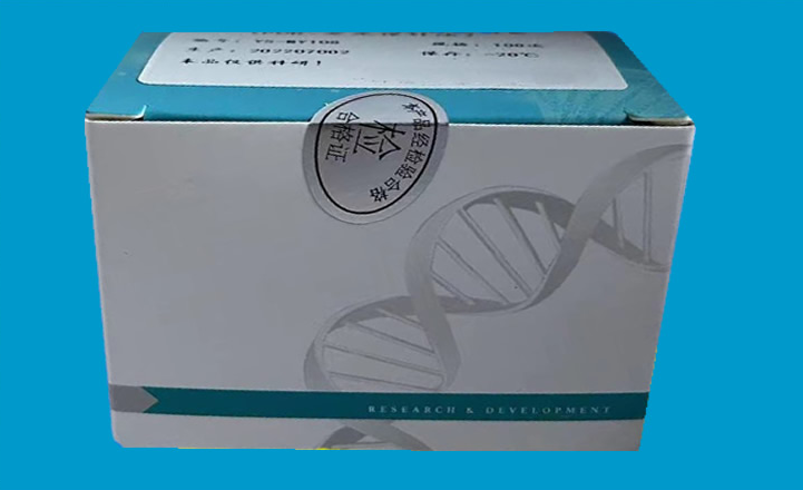PCR检测试剂盒.png