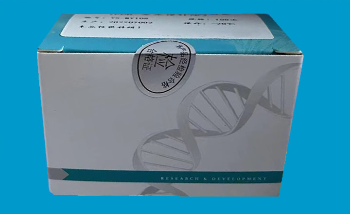 PCR试剂盒.png