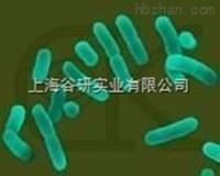 费氏弧菌发光杆菌