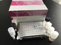 鼻血吸虫PCR检测试剂盒品牌