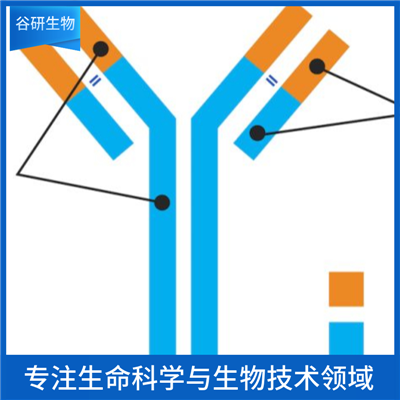 PE标记的羊抗小鼠IgG H&L