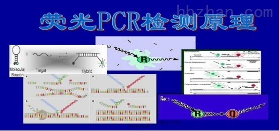 实时荧光PCR试剂盒.jpg