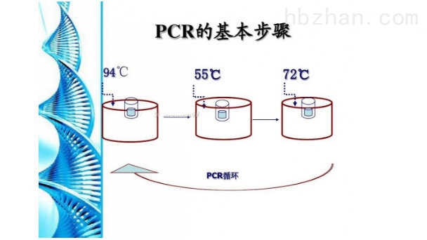PCR纯化试剂盒.jpg